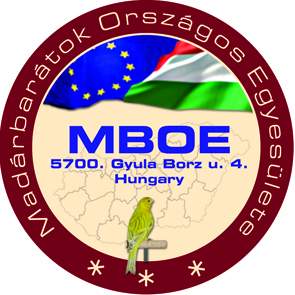 mboe