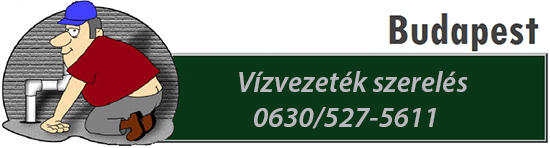vizszerelomester